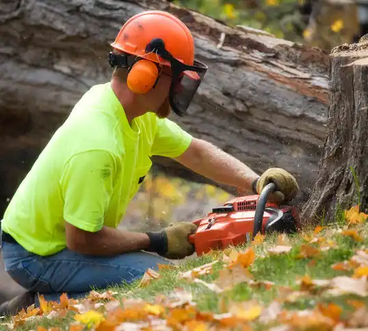 tree services Leetonia